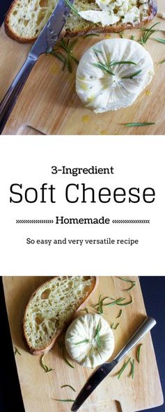 3 Ingredient Organic Soft Homemade Cheese