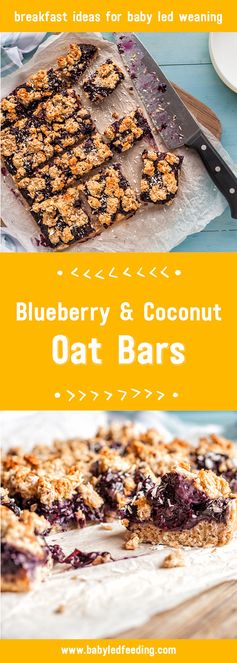 Blueberry & Coconut Oat Bars