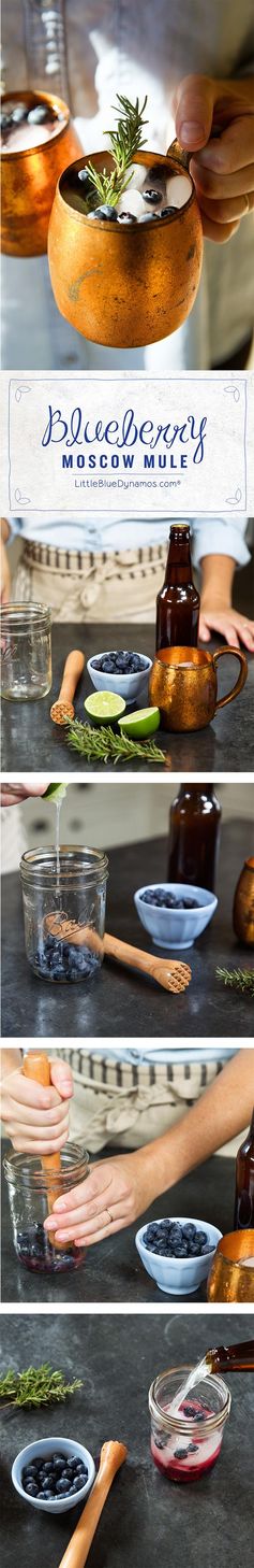 Blueberry Rosemary Moscow Mule