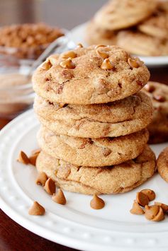 Cinnamon Chip Snickerdoodles