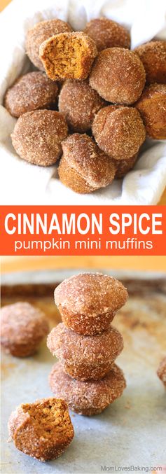 Cinnamon Spice Pumpkin Mini Muffins