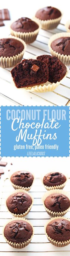 Coconut Flour Chocolate Muffins