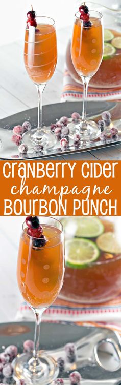 Cranberry Cider Champagne Punch