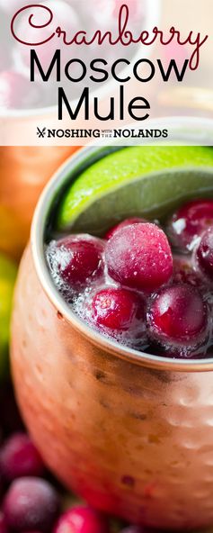 Cranberry Moscow Mule