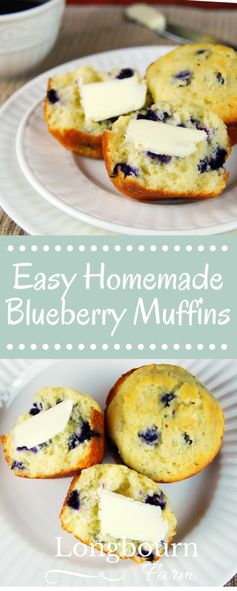 Easy Homemade Blueberry Muffins