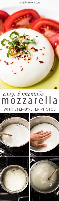 Homemade Mozzarella