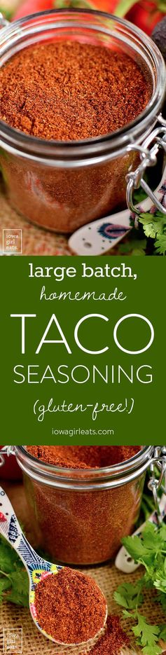 Large Batch Homemade Taco Seasoning