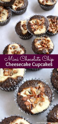 Mini Chocolate Chip Cheesecake Cupcakes