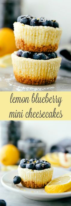 Miniature Lemon Blueberry Cheesecakes