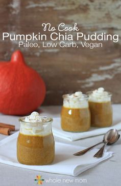 No-Cook Pumpkin Chia Pudding - paleo, vegan, & low carb