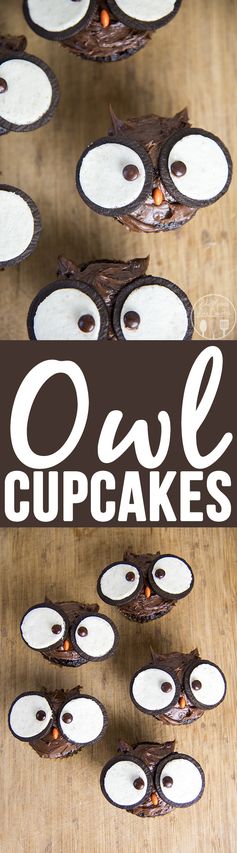 Owl Cupcakes