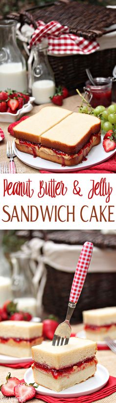 Peanut Butter and Jelly Sandwich Cake