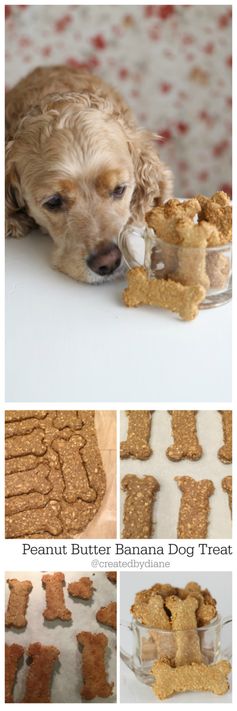 Peanut Butter Banan Dog Treats