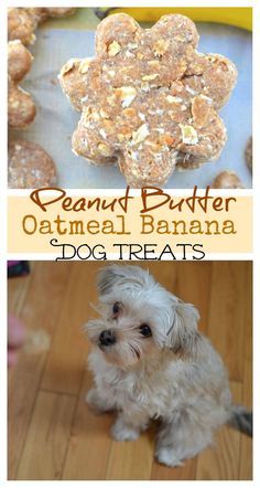 Peanut Butter Oatmeal Banana Dog Treats