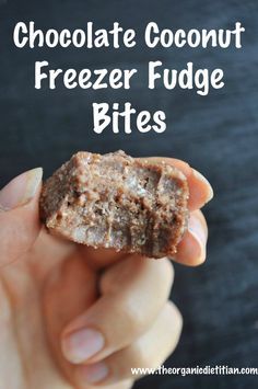 Raw Chocolate Coconut Freezer Fudge Bites