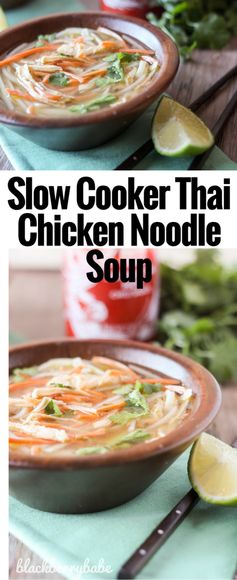 Slow Cooker Thai Chicken Noodle Soup