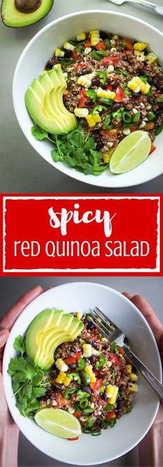 Spicy Red Quinoa Salad