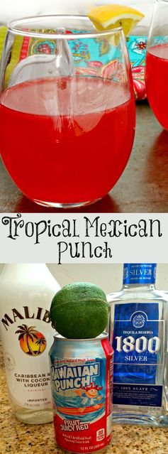 Tropical Mexican Punch