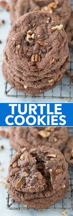 Turtle Cookies