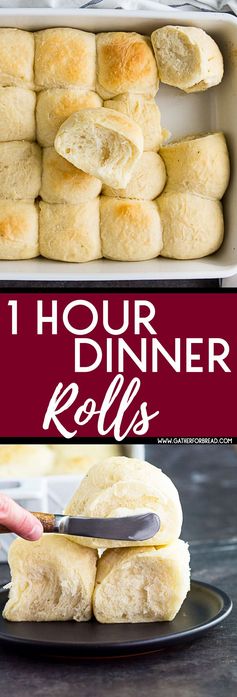 1 Hour Dinner Rolls