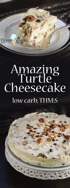 Amazing Turtle Cheesecake