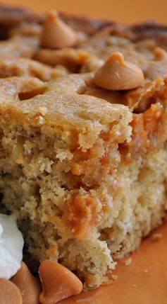 Amish Butterscotch Cake