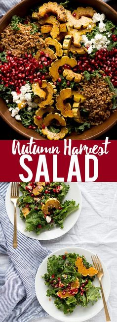 Autumn Harvest Salad with Pomegranates