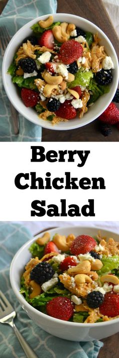 Berry Chicken Cashew Salad