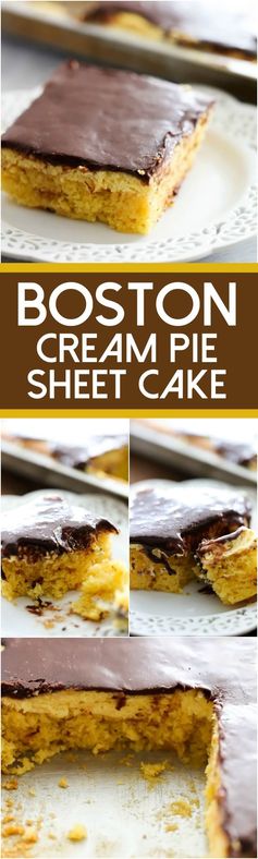 Boston Cream Pie Sheet Cake