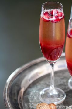 Bottoms Up | Sparkling Cranberry Vodka Martini