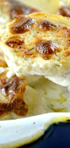 Boursin Cheese Scalloped Potatoes