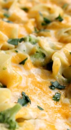 Broccoli Chicken Casserole with Egg Noodles