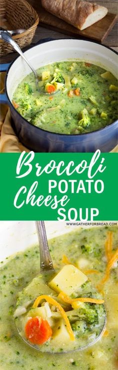 Broccoli Potato Cheese Soup