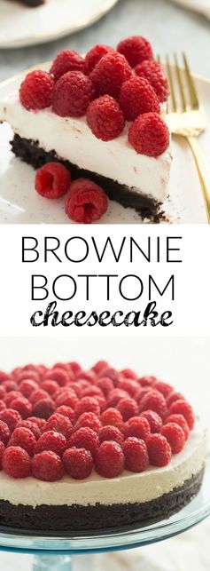 Brownie Bottom Cheesecake with Raspberries