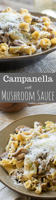 Campanella with Mushroom Sauce