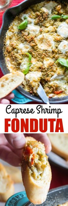 Caprese Shrimp Fonduta