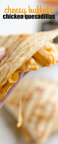 Cheesy Buffalo Chicken Quesadillas