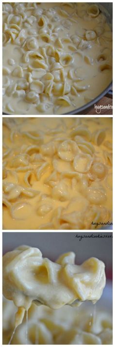 Cheesy Orecchiette