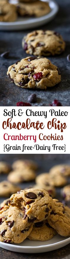 Chewy Chocolate Chip Cranberry Cookies (Paleo