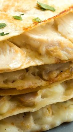 Chicken Alfredo Quesadillas