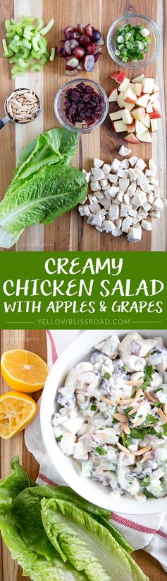 Chicken, Apple & Grape Salad with Creamy Dressing