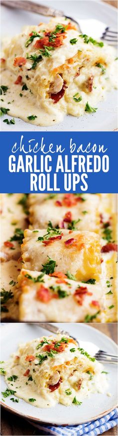 Chicken Bacon Garlic Alfredo Roll Ups