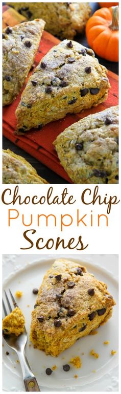 Chocolate Chip Pumpkin Scones