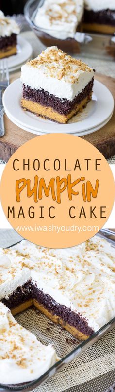 Chocolate Pumpkin Magic Cake