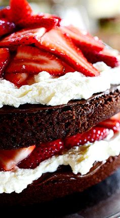 Chocolate Strawberry Nutella Cake