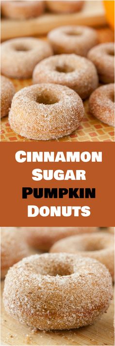 Cinnamon Sugar Pumpkin Cake Donuts