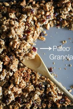 Coconut Walnut Sunflower Seed Paleo Granola