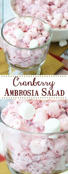 Cranberry Ambrosia Salad