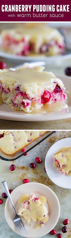 Cranberry Pudding Cake with Warm Butter Sauce