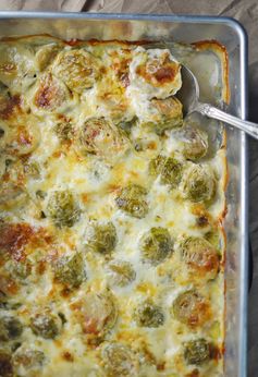 Creamy Brussel Sprouts Au Gratin